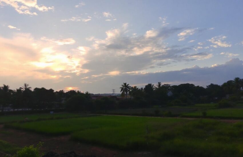découvrez les avantages d'une box de stockage à marseille le canet pour sécuriser et optimiser le rangement de vos produits en toute simplicité.
